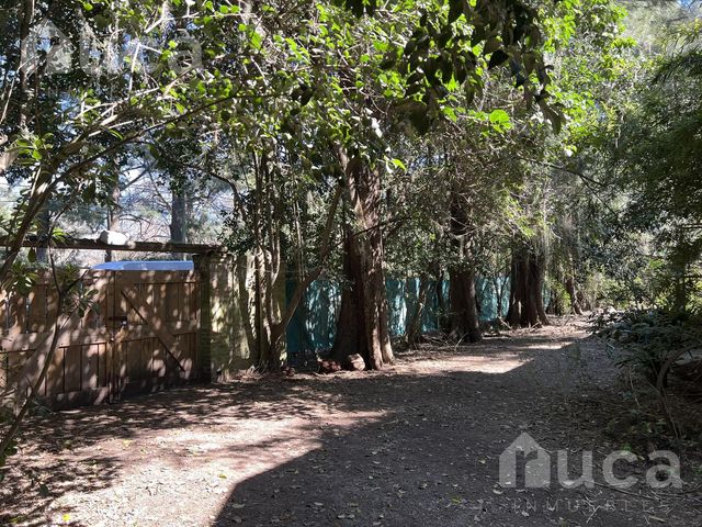 place photo 44