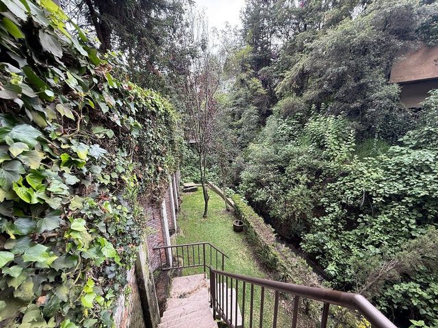place photo 45