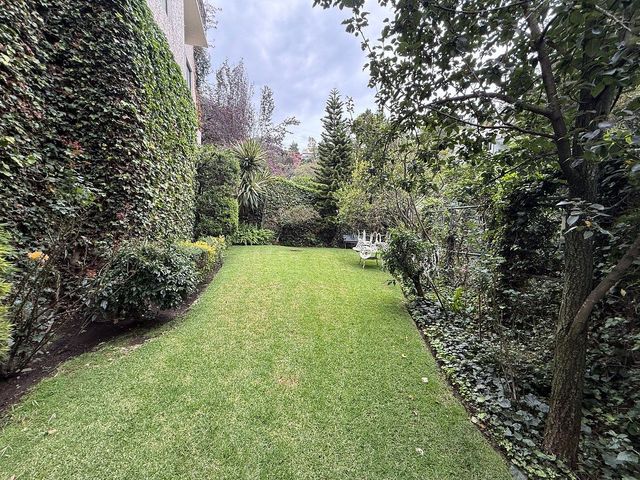 place photo 43