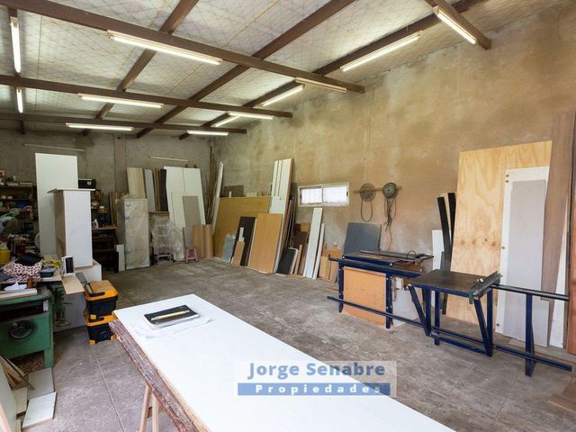 place photo 30