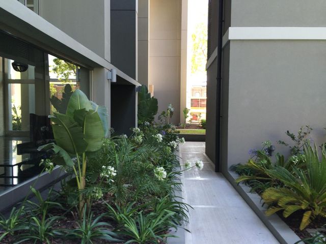 place photo 18