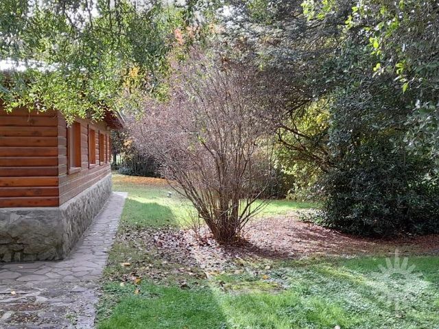 place photo 40