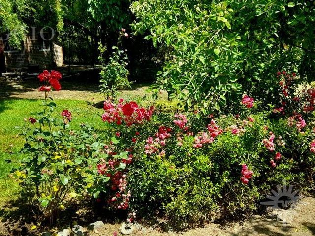 place photo 38