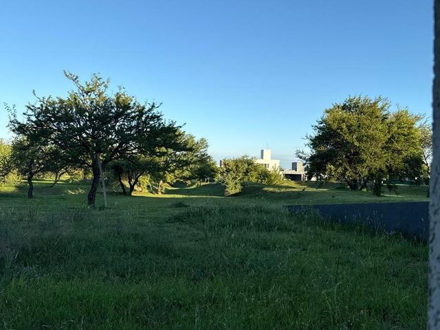 place photo 39
