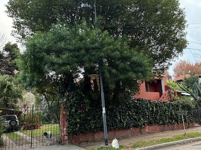 place photo 22