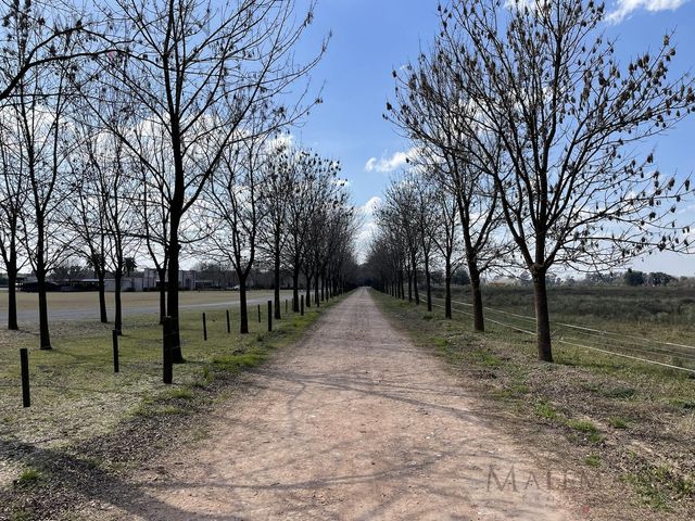place photo 35