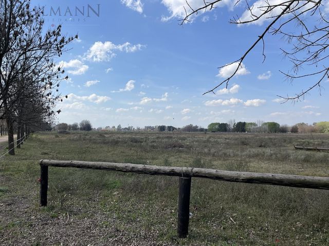 place photo 30