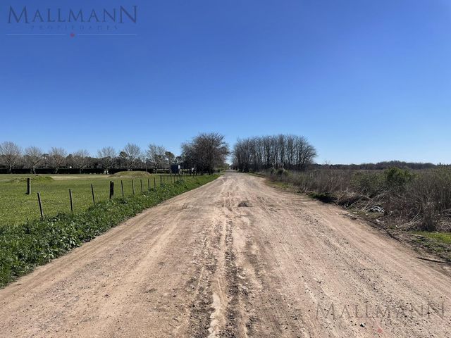 place photo 23