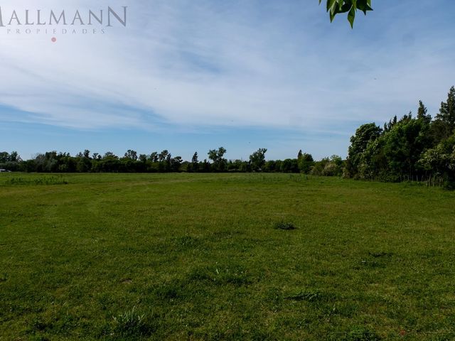 place photo 18