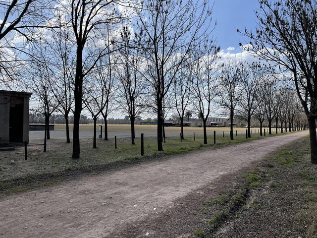 place photo 33