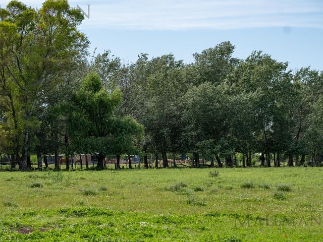 place photo 14