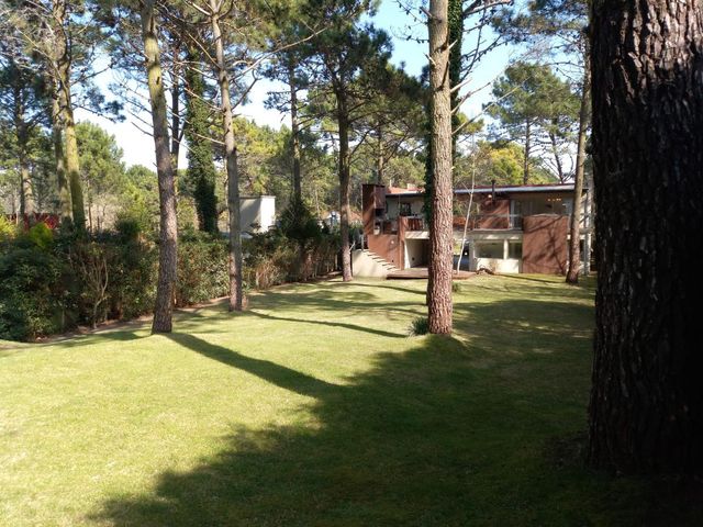 place photo 42