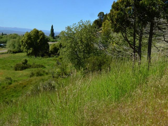 place photo 30