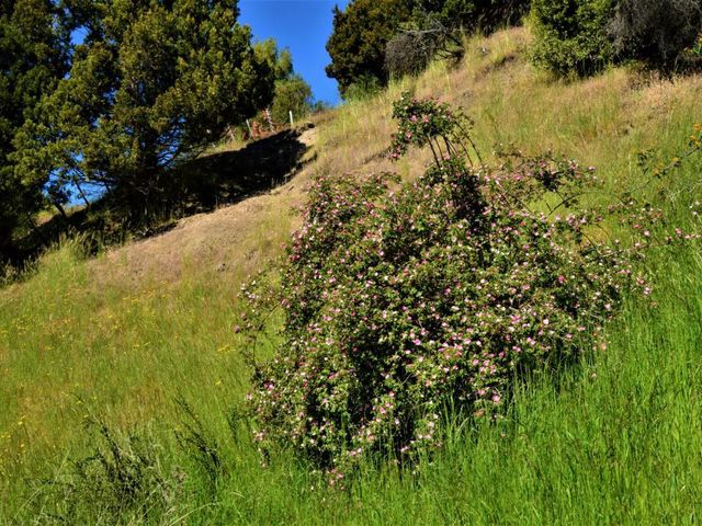 place photo 45