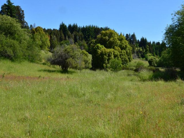 place photo 50