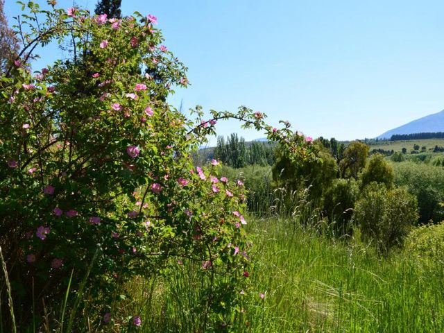 place photo 46