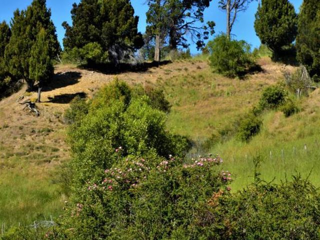 place photo 42