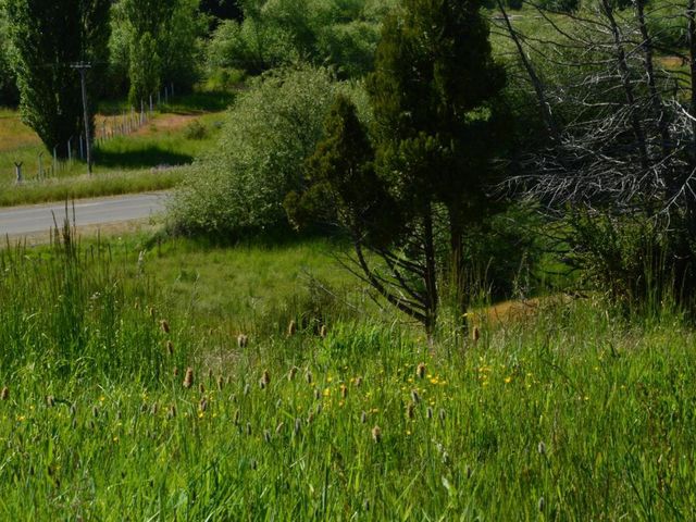 place photo 33