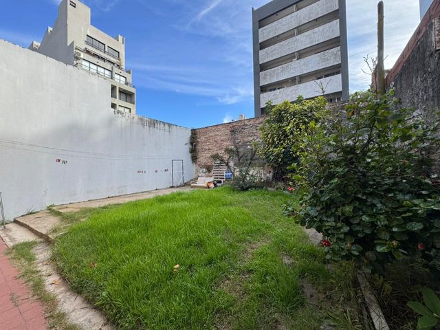 place photo 23