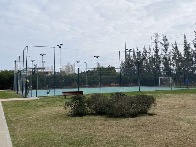 place photo 19