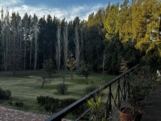 place photo 36
