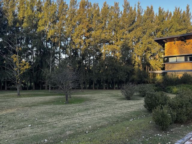 place photo 49