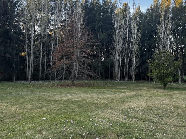 place photo 51