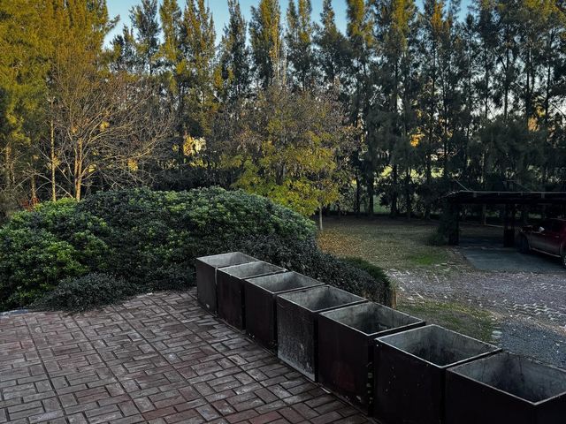 place photo 41