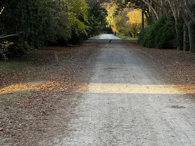 place photo 52