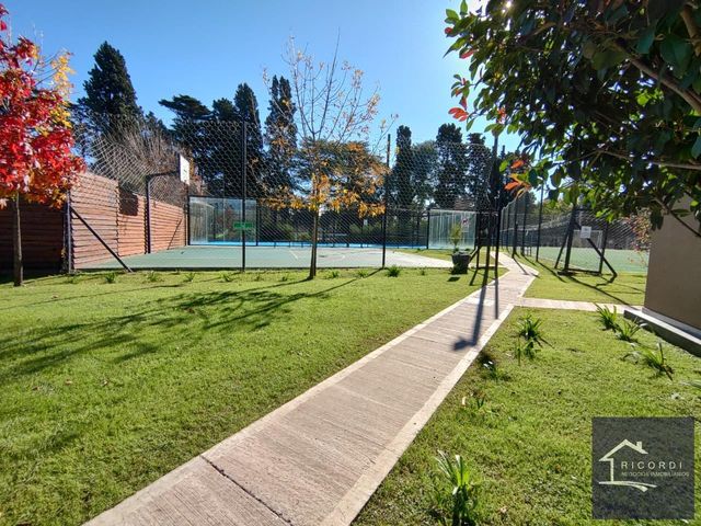 place photo 48