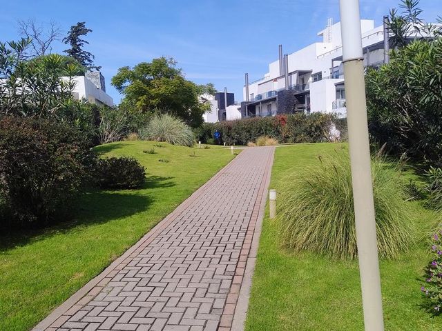 place photo 48