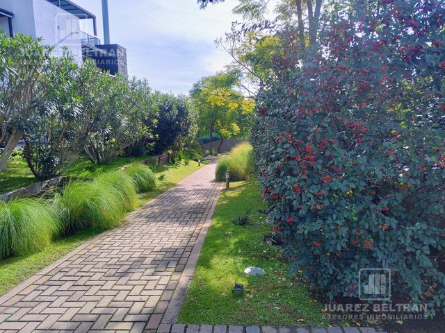 place photo 49
