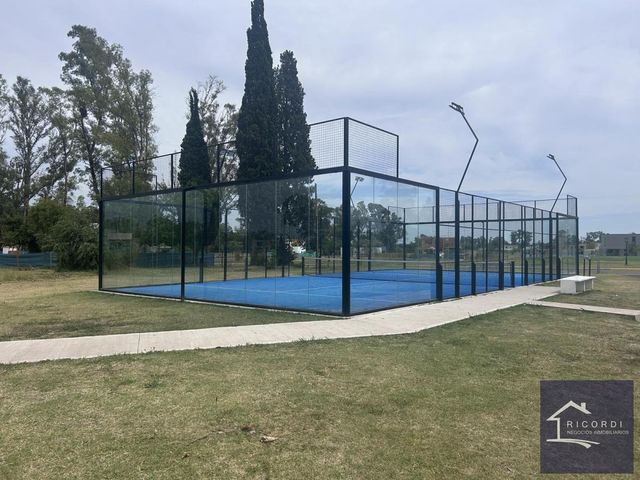 place photo 46