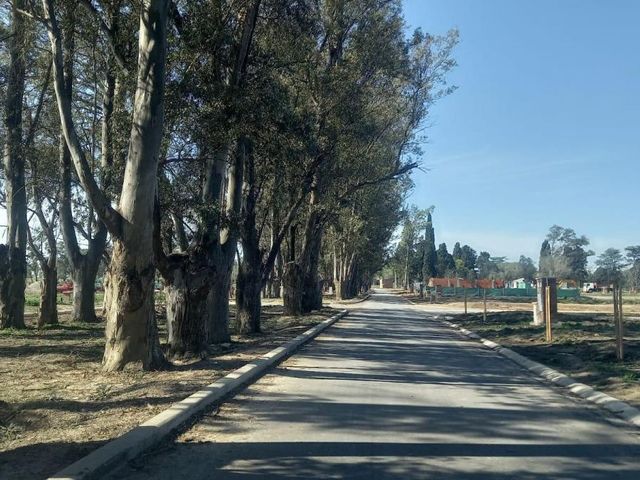 place photo 45