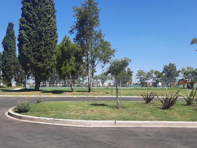 place photo 42