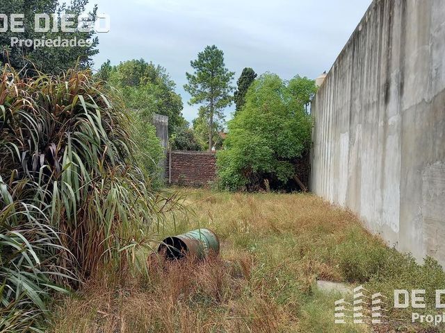 place photo 11