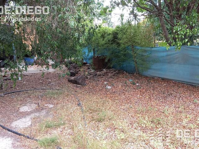 place photo 13