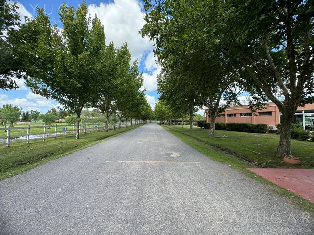 place photo 63