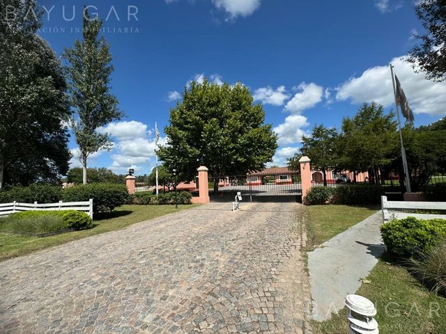 place photo 48