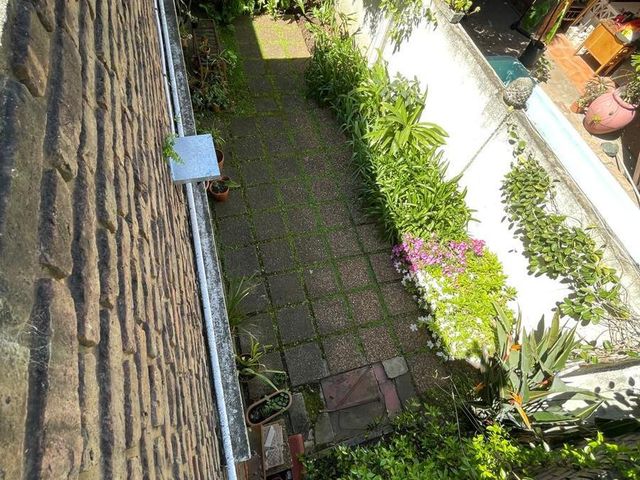 place photo 29