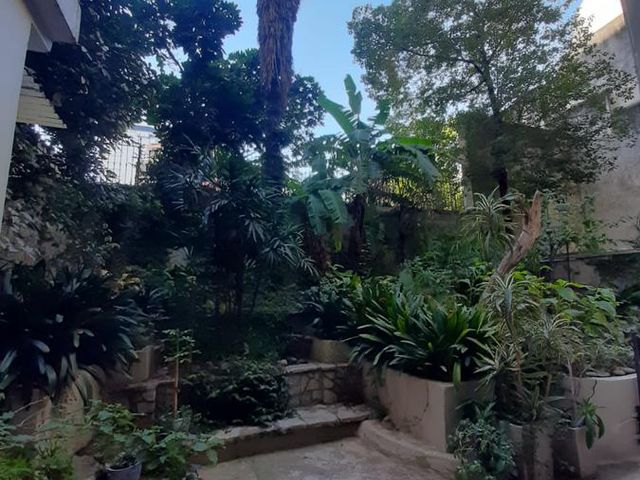 place photo 49
