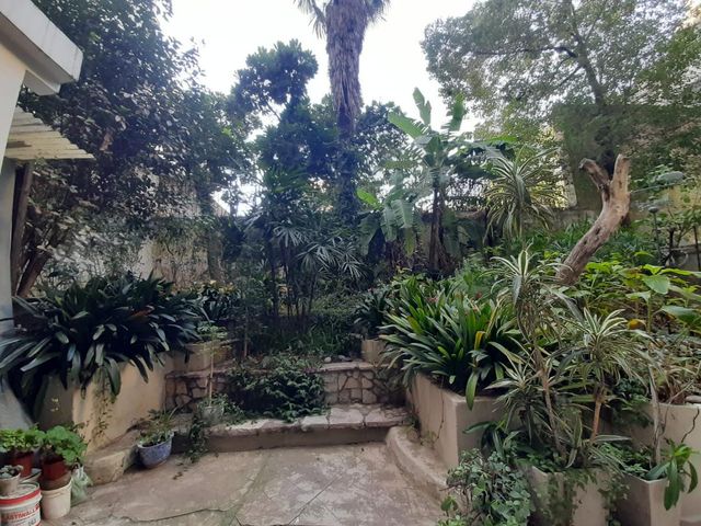 place photo 45