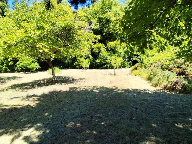 place photo 38