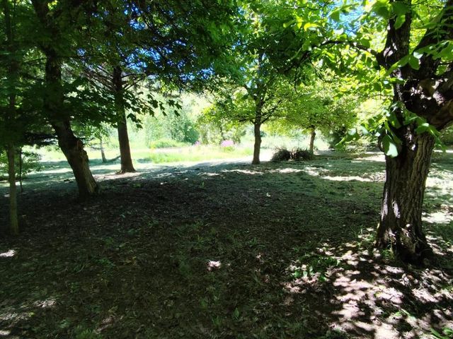 place photo 44
