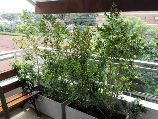 place photo 17