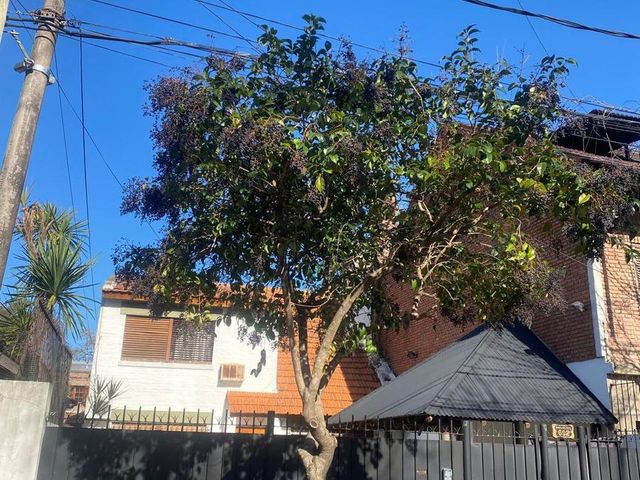 place photo 33