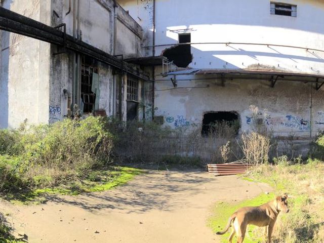 place photo 25