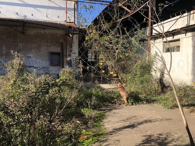place photo 26