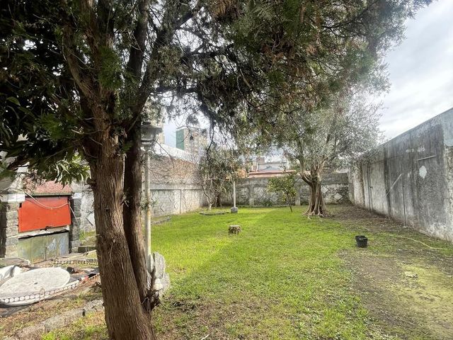 place photo 30