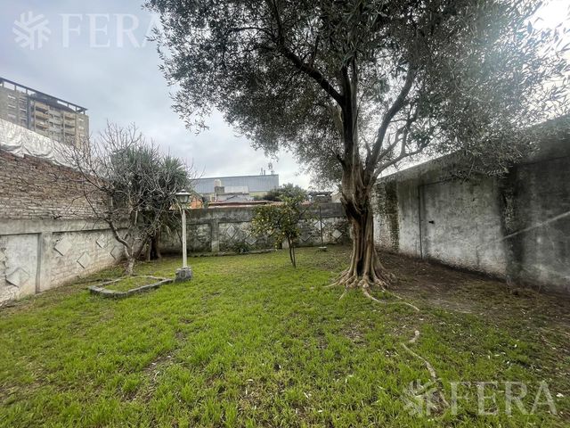 place photo 45